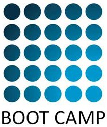 IceCube Bootcamp: Summer 2011